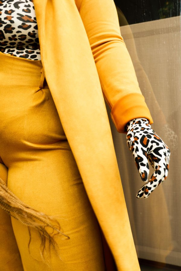 AHM - Chicago Model Coach